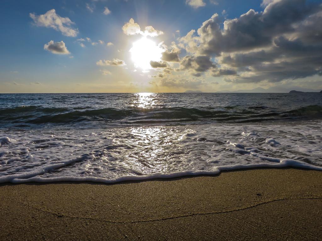 Cairns Beaches Flashpackers Palm Cove Ngoại thất bức ảnh